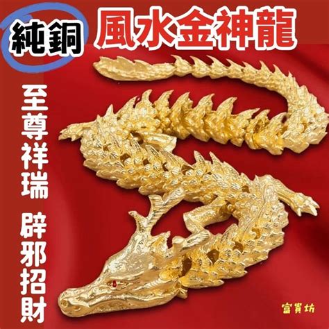 龍魚擋煞|【風水用品中金龍是什麼】龍魚風水學 